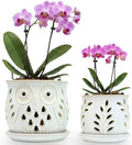 Set of 2 White Beige Vintage Owl and Leaves 4.5 + 6 Inch Orchid Pots with Holes, Premium Stoneware Ceramic Orchid Planters for Repotting with Drainage Holes by ThrivingThicket
