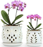 Set of 2 White Beige Vintage Owl and Leaves 4.5 + 6 Inch Orchid Pots with Holes, Premium Stoneware Ceramic Orchid Planters for Repotting with Drainage Holes by ThrivingThicket
