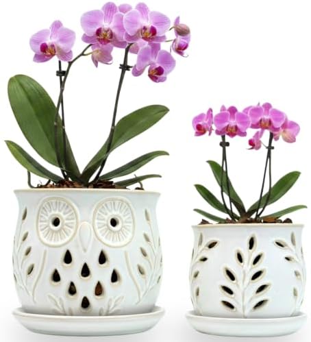 Set of 2 White Beige Vintage Owl and Leaves 4.5 + 6 Inch Orchid Pots with Holes, Premium Stoneware Ceramic Orchid Planters for Repotting with Drainage Holes by ThrivingThicket