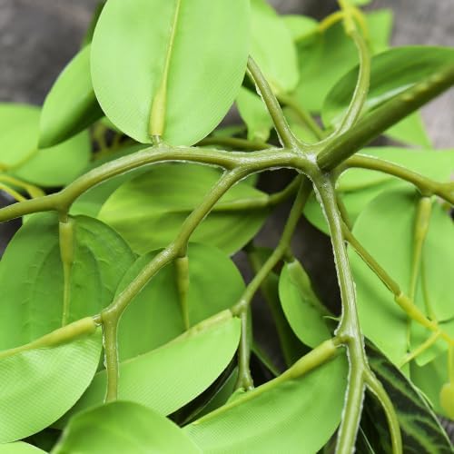 FiveSeasonStuff Watermelon Peperomia Real Touch Hanging Plant, 2 Stems - Image 6
