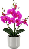 Fake Orchid-17.5”tall Artificial Indoor Plant for Home Decor-Dark Pink by Unknown