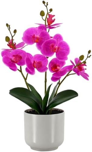 Fake Orchid-17.5”tall Artificial Indoor Plant for Home Decor-Dark Pink by Unknown