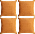 GIGIZAZA Decorative Throw Pillow Covers 20 x 20, Cinnamon Burnt Orange Sofa Pillow Covers Velvet, Set of 4 Decor Square Cushion Covers by GIGIZAZAFocusingonhomedecoration