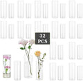 Glasseam Glass Cylinder Vase in Bulk: 32Pcs Small Bud Vase for Centerpieces by Glasseam