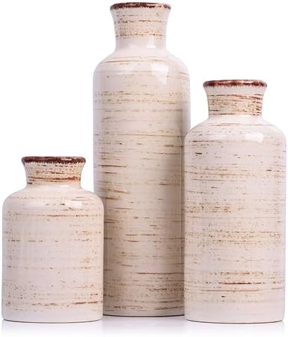 Ceramic Vase Set - 3 Ceramic Small Vases, Farmhouse Country Flower Vase Home Decor, Living Room Decoration, Table Decoration, Fireplace Decor, and Entrance Decorations Centerpieces by QIANLING