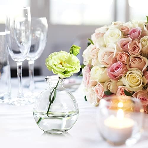 SOUJOY Set of 12 Small Glass Ball Bud Vase, Unique Mini Low Sitting Flower Vase, Clear Floral Centerpieces for Home Decor, Weddings, Floral Arrangements, Events, Parties - Image 4