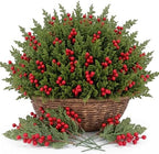 500 Pcs Artificial Christmas Snow Pine Branches with Red Berry Stems 10.6" Snowy Faux Greenery Pines Christmas Picks and Sprays Fake Foliage Pine Needle Picks for Wreaths Garland Home Decor by Unknown