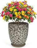9.5 Inch Flower Pots for Indoor Plants,Ceramic Planter with Saucer Drainage Leak-Proof Mesh Gardening Gloves (Spotted White) by Unknown