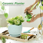 Ceramic Flower Pots with Drainage Hole and Saucer, Modern Round Succulent Planters with Honeycomb Inspired Texture Design, Small to Medium Sized, Set of 3, Green - Image 2