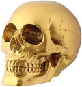 Gold Skull Head Collectible Skeleton Decoration Figurine by SUMMITCOLLECTION