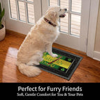 Evergreen Sassafras Spring Holiday Doormat Insert Bundle & Tray Set of 5, Interchangeable Entrance Door mats Indoor and Outdoor Welcome Mat 30 x 18 Tray Non Slip Backing Low Profile - Image 5