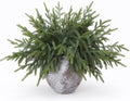 20Pcs Lifelike Touch Artificial Norfolk Pine Branches for Vase DIY Decor by CYSKXYI