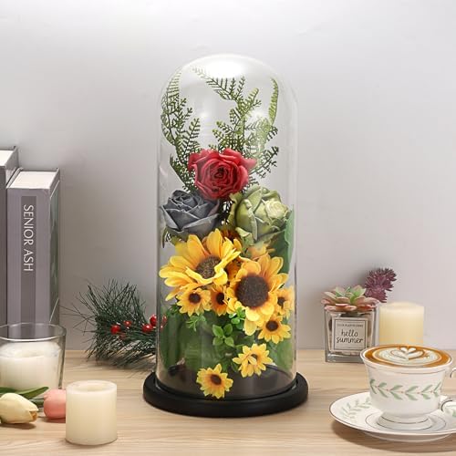 JUXYES 13.8 Inches Glass Display Dome Cloche with Black Wood Base, Clear Glass Dome Cloche Bell Terrarium Jar Glass Cloche Bell Jar Display for Plants Collectible Figure, 15x35cm - Image 7