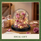 Suclain 4Pc Glass Dome Cloche with Wood Base, Black, 4.3" X 3.8" - Image 3