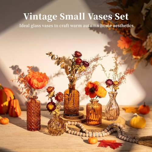 Glasseam Glass Bud Vases for Flowers: 10Pcs Fall Amber Small Vases Set - Image 2