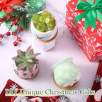 Remerry 18 Pcs 3.5 Inch Mini DIY Ceramic Succulent Pots with Bamboo Tray - Image 2