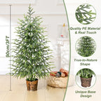 BLEUM CADE 3FT Small Norfolk Pine Tree with Pot, Table top Christmas Tree - Image 2