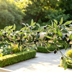 4 Strands Faux Olive Branches Garland 67IN Greenery Garland for Table Decor - Image 7
