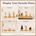 Tessco for you 3 Pcs Glass Cloche Dome Display with Solid Wood Base, L - Image 5