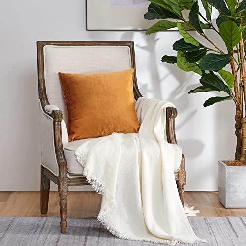 GIGIZAZA Decorative Throw Pillow Covers 18 x 18, Cinnamon Burnt Orange Soft Pillow Covers Velvet,Set of 4 Decor Square Cushion Covers - Image 6