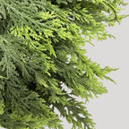 Thewe 2Pcs 9Ft Christmas Cedar Garland with Lights - Image 4