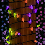 Novelty Lights 24FT 70 LED C6 Halloween String Lights, Purple, Orange, Lime - Image 3