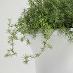 Worth 2-Pack Large White Urn Planters, 15.5" x 22" Tall Outdoor Flower Pots - Image 4