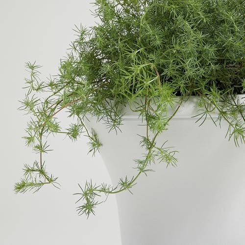 Worth 2-Pack Large White Urn Planters, 15.5" x 22" Tall Outdoor Flower Pots - Image 4