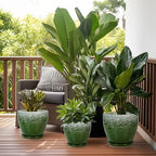 10 Inch Plant Pot - Ceramic Planters for Indoor Plants Outdoor, Large Planter with Drainage Hole and Saucer, Decorative Round Flower Pots, Garden House Decor, Gifts for Plant Lovers, Green - Image 7