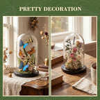 Suclain 4Pc Glass Dome Cloche with Wood Base, Black, 6.7" X 3.8" - Image 3