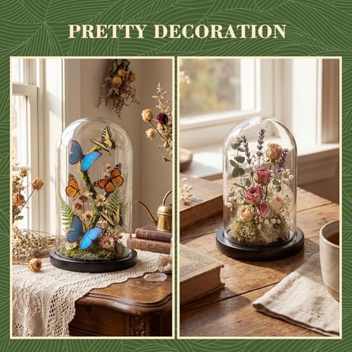 Suclain 4Pc Glass Dome Cloche with Wood Base, Black, 6.7" X 3.8" - Image 3