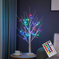 2ft Birch Tree with 72 LED Lights & Remote - Christmas Decorations Indoor, RGB Color Changing Fairy Tree | Spirit Twinkling Tree for Bedroom, Wedding, Holiday Decor | USB/Battery Powered by NXUEBDUOutlets