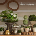 Serene Spaces Living Set of 2 Medium Free-Form Edge Glazed Ceramic Plate- Dinnerware for Vintage Weddings, Events, Measures 9" Long, 8" Wide and 1" Tall - Image 5