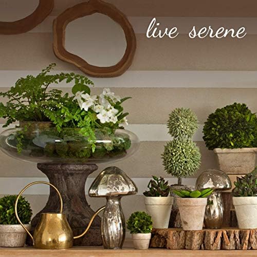 Serene Spaces Living Set of 2 Medium Free-Form Edge Glazed Ceramic Plate- Dinnerware for Vintage Weddings, Events, Measures 9" Long, 8" Wide and 1" Tall - Image 5