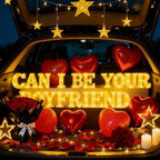 Can I Be Your Boyfriend Light Up Letters with 1000 Rose Petals by Unknown