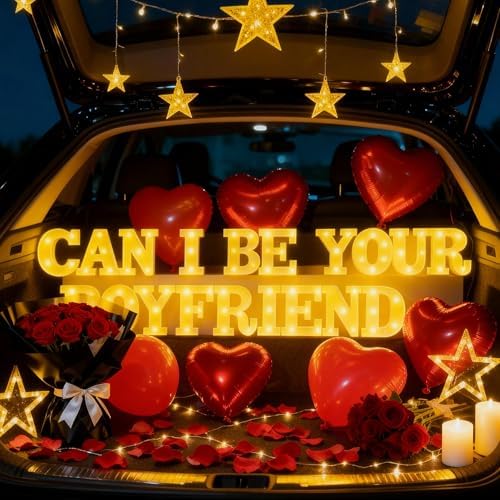 Can I Be Your Boyfriend Light Up Letters with 1000 Rose Petals by Unknown