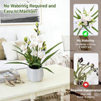 Fake Orchid Plant 19" Tall, Realistic Touch Leaves, Potted Cymbidium Artificial Plants Indoor for Home Decor Small Office Home Living Room-White - Image 4