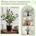 Giegxin 2 Pack 15.8 Inch Small Artificial Olive Tree Indoor 40cm Faux Olive Plant with Black Pot for Home Office Room Table Modern Decor - Image 5