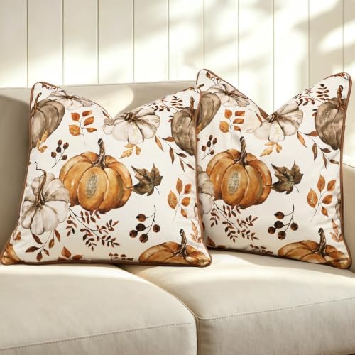 Fall Pumpkin Pillow Covers Set of 2,20x20 Inch,Brown by VigorSpring