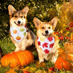 Abbylike 50 Pcs Thanksgiving Dog Bandanas Bulk, Fall Autumn Maple Leaves - Image 4