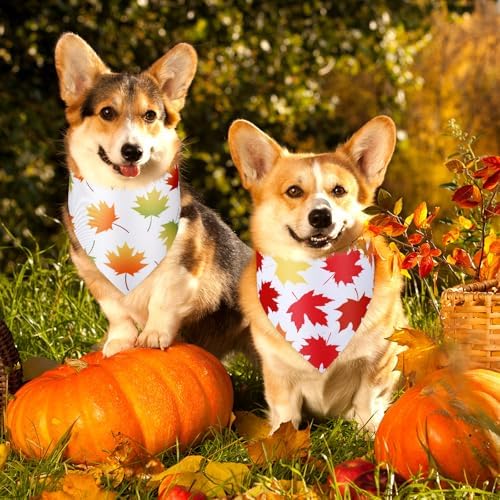 Abbylike 50 Pcs Thanksgiving Dog Bandanas Bulk, Fall Autumn Maple Leaves - Image 4