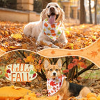 Chunful 60 Pcs Fall Bandanas Bulk for Large Dogs ​Thanksgiving Autumn - Image 2