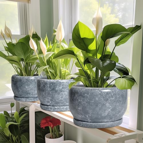 SQOWL 6 Inch Plant pots Indoor - Ceramic Planter with Drainage Hole and Saucer, Ceramic Flower Pot Outdoor, Decorative Round Planter, Home Decor Living Room, Gifts for Plant Lovers, Gray - Image 5