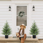 3FT Small Norfolk Pine Christmas Trees, 2-Pack Potted, Unlit - Image 2