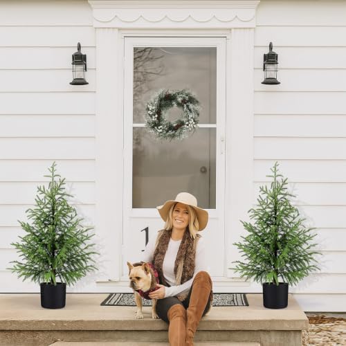 3FT Small Norfolk Pine Christmas Trees, 2-Pack Potted, Unlit - Image 2