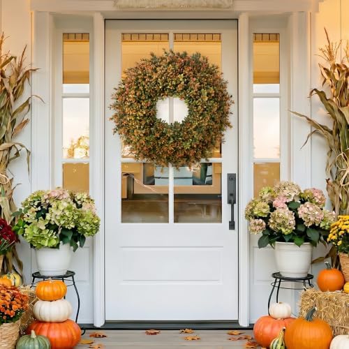 Waipfaru 2 Pcs 26'' Fall Boxwood Wreath for Front Door Decor, Orange - Image 2