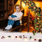 10FT Enchanting Christmas Garland with 30 LED Lights Battery Operated-Realistic Red Berries & Pine Cones Decor for Tree,Fireplace Mantel,Indoor Holiday Home Decor (10Ft) - Image 4