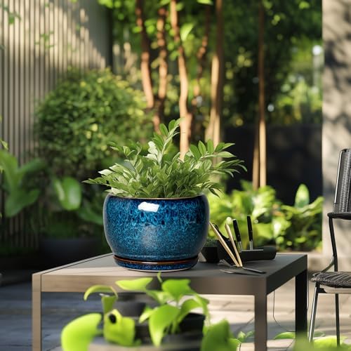 SQOWL 10 Inch Plant Pot - Ceramic Planter Pot with Drainage Hole and Saucer, Decorative Plant Pot for Indoor Outdoor Plants, Round Large Planter Flower Pot, Blue - Image 6