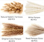 300 PCS Dried Flower Bouquet – Pampas Grass, Floral Decor for Home, Wedding, and Boho Style | Perfect for Vases, Fall, Spring, Summer, and Winter Arrangements (Pack of 2) - Image 2