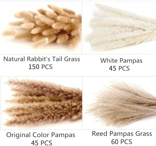 300 PCS Dried Flower Bouquet – Pampas Grass, Floral Decor for Home, Wedding, and Boho Style | Perfect for Vases, Fall, Spring, Summer, and Winter Arrangements (Pack of 2) - Image 2